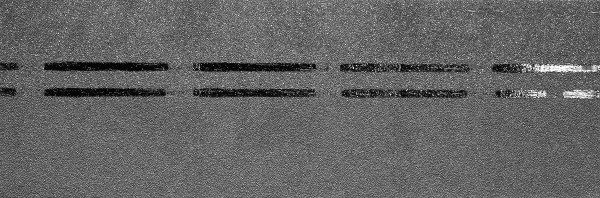 Коньково-карнизная черепица Docke Premium, черника купить в Арзамасе