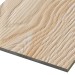 Фиброцементные панели FCSPRO Decor Wood Лиственница купить в Арзамасе