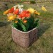 Цветник КАНЬОН купить в Арзамасе